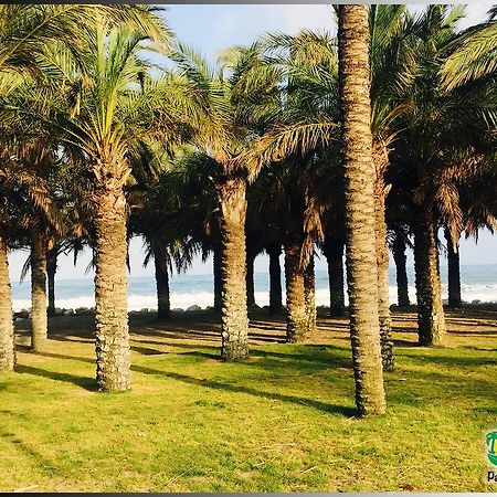 Palmeras del Golf - Torrequebrada Benalmádena Habitación foto